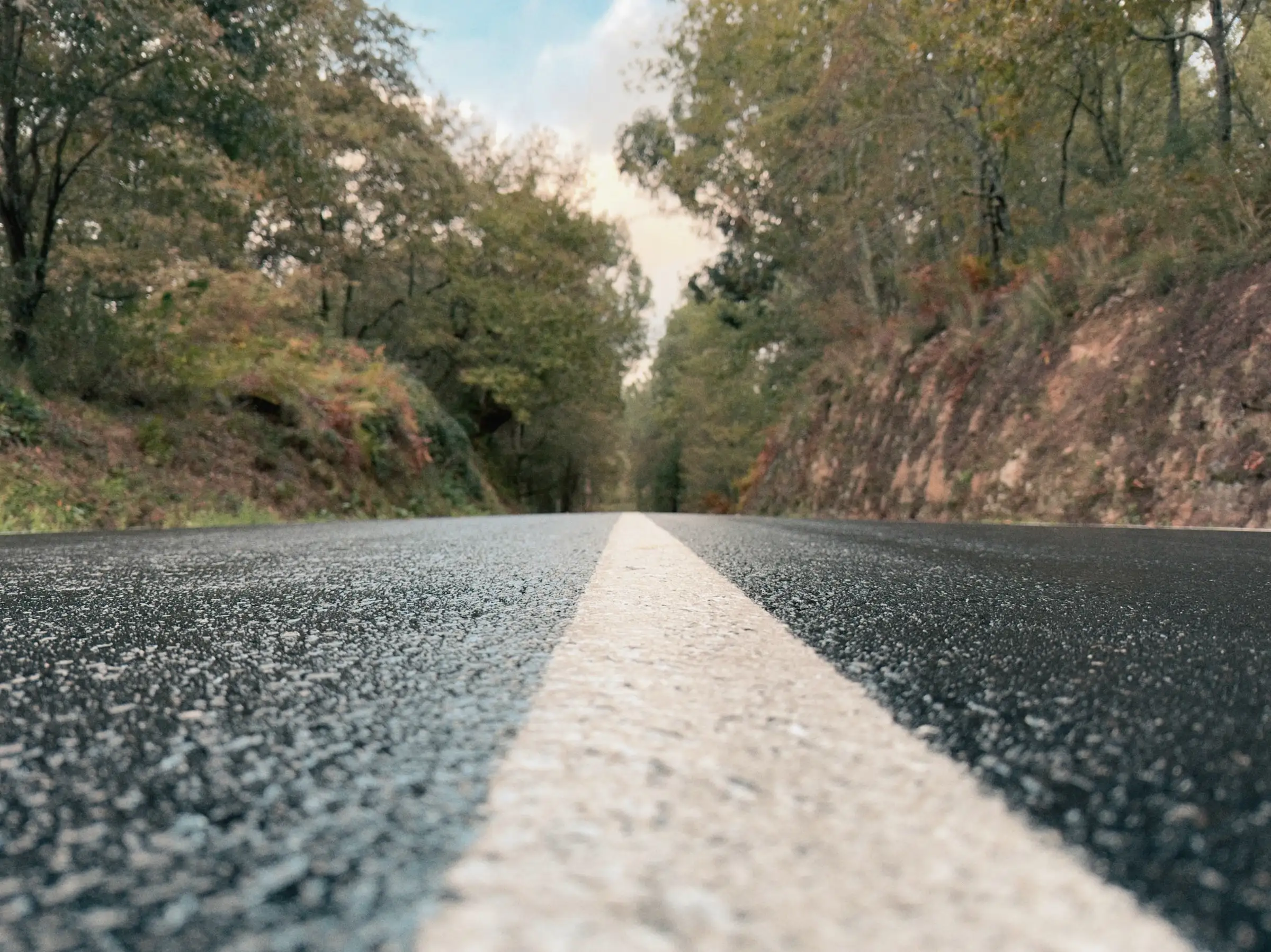 Low view along a wet asphalt road with a white centre line running towards trees